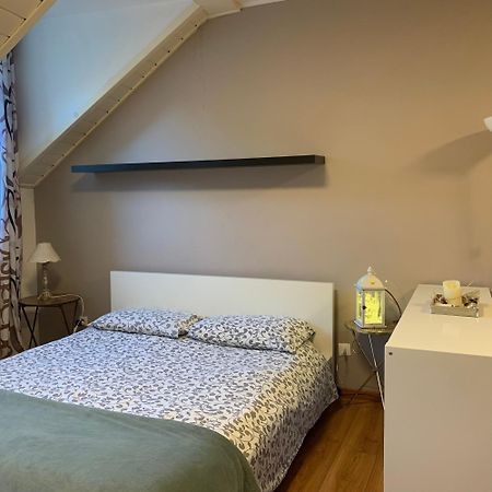 Loft L'Alessandra Bolzano Esterno foto